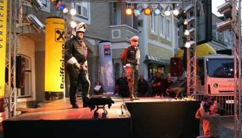 IMG_4330 (Large)