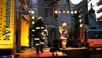 IMG_4364 (Large)