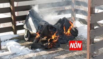 Müllcontainerbrand Bertastraße (Foto: Martin Steinbach, NÖN)